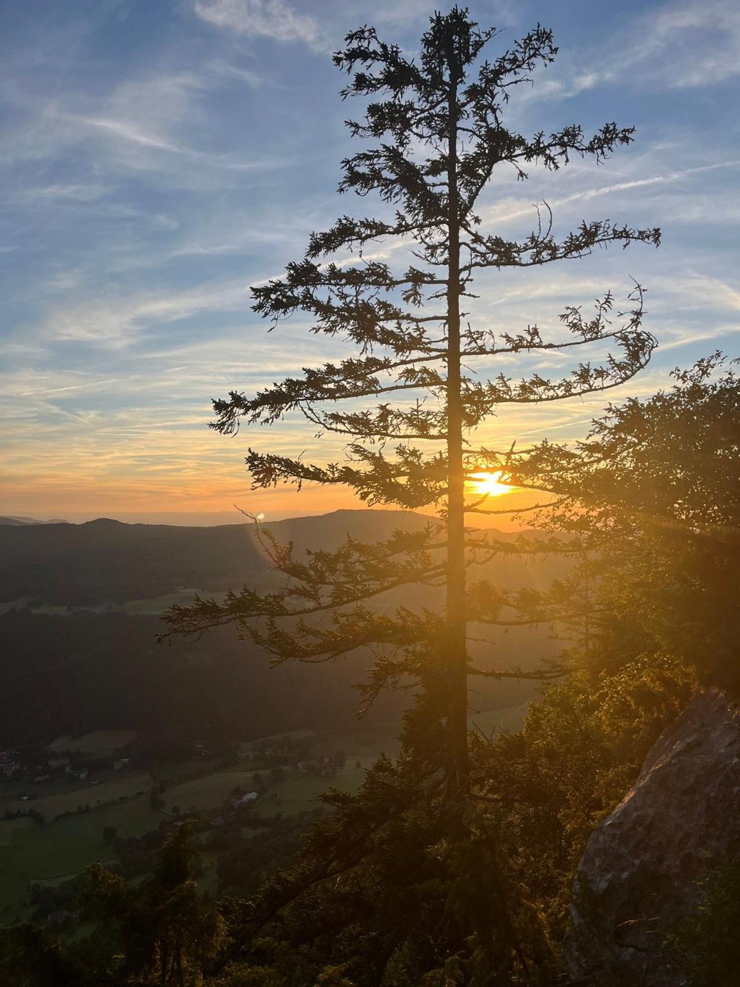 Gite La Morandiere Saint-Martin-en-Vercors Eksteriør bilde